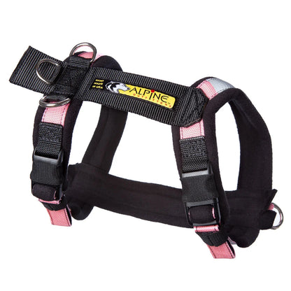 Harness