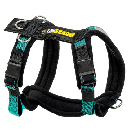 Harness